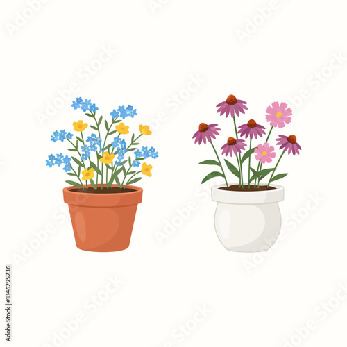 Beautiful Potted Wildflowers Arrangement for Home Decor