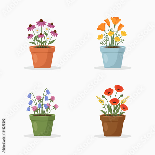 Beautiful Potted Wildflowers Arrangement for Home Decor