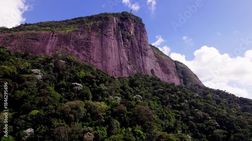 Beautiful Rio de Janeiro jungles Brazil