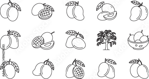 Collection of eighteen minimalist outline mango illustrations and tree fruit icon