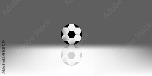Soccer ball with reflection. Vector illustration.