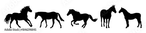 animal horse silhouette