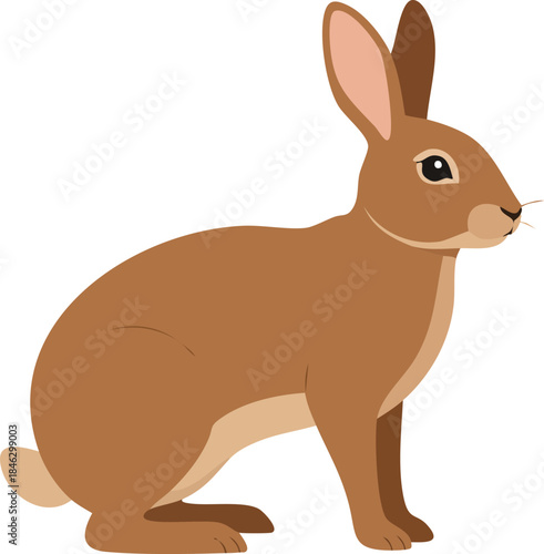 vector illustration of a rabbit