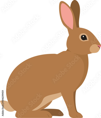 vector illustration of a rabbit