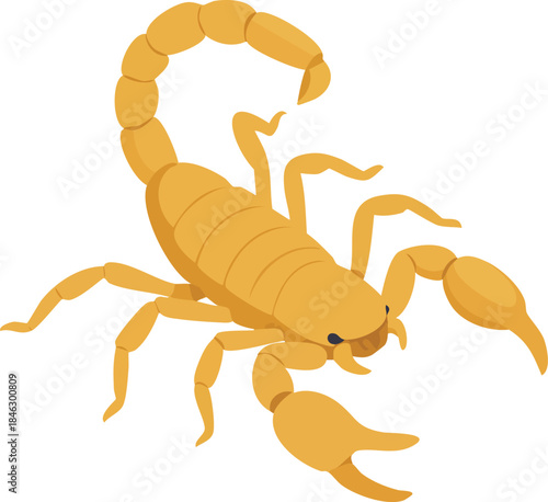 scorpion vector illustration
