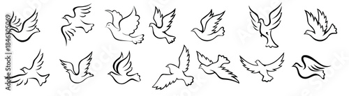  outline graceful dove and pigeon birds