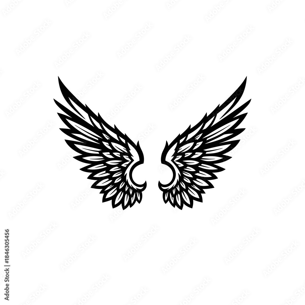 Fototapeta premium Detailed Black and White Wings Illustration for Graphic Design.