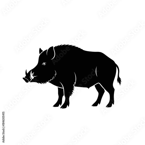 Silhouette of a Wild Boar with Prominent Tusks 2.
