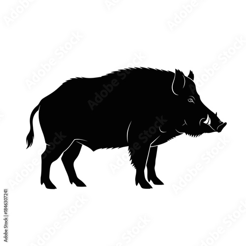Silhouette of a Wild Boar with Prominent Tusks 1.