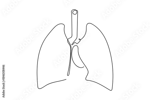 A single continuous line of tissue representing a human lung for medical purposes. Single line draw design vector graphic illustration Editable stroke.