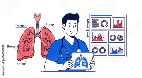 Professional doctor analyzing lung anatomy diagrams and dynamic health data charts on digital screens for research