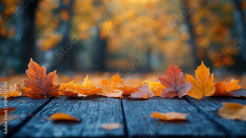 Orange maple leaves on a branch with bokeh in the background.
