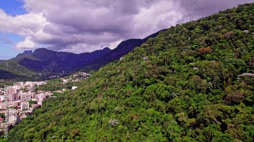 Beautiful Rio de Janeiro jungles Brazil