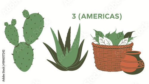 Herbal and Traditional Medicine Flat Vector Set with Four Aligned Panels