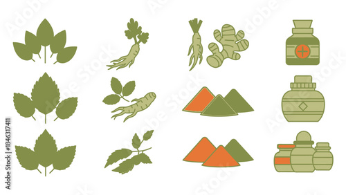 Herbal and Traditional Medicine Flat Vector Set with Four Aligned Panels