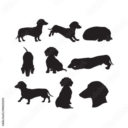 Dachshund Silhouettes Collection,Dachshund Silhouettes,Vector Dachshund Silhouettes,Dog Breed Silhouettes,dachshund vector