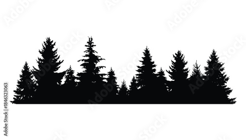 Fir trees silhouette. Coniferous spruce horizontal background pattern, black evergreen woods vector illustration. Beautiful hand drawn panorama of coniferous forest