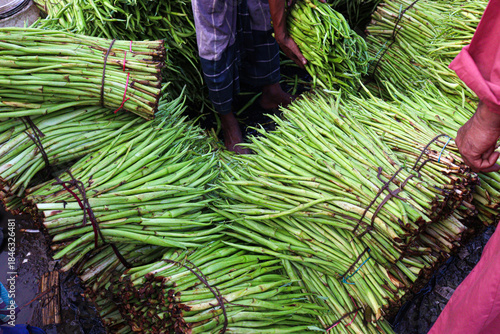 green arum lobe stock on shop