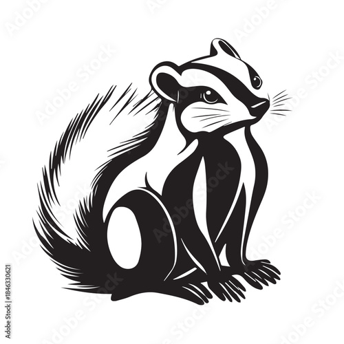 vector illustration of a cartoon skunk