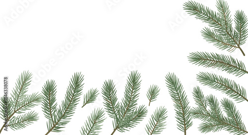 Collection of evergreen pine branches and fir needles, botanical winter foliage illustration set isolated on white background for seasonal design use
