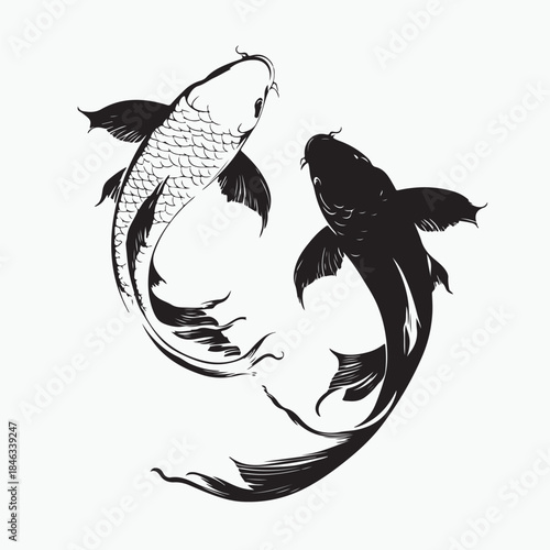 vector illustration of a koi fish