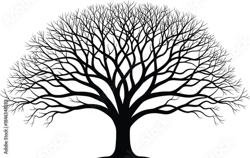 Black tree silhouette vector illustration, leafless branches spreading wide, nature symbol design, isolated on white background, minimalist botanical artwork for stock use