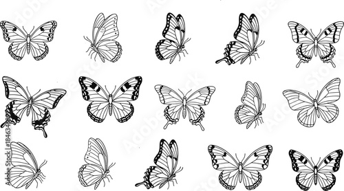 Butterfly line art vector collection, detailed insect wing illustrations, black and white nature designs, decorative outline butterflies isolated on white background