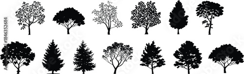 Tree silhouette collection, diverse deciduous and evergreen tree shapes, forest nature elements, black detailed flat vector illustration set