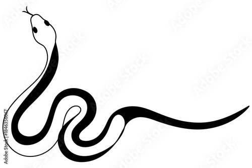 Black and white illustration of a snake with a long curved body and raised head on a contrasting background