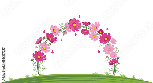Beautiful archway of pink and fuchsia cosmos flowers with tiny butterflies fluttering above, set against a clean white background and green grass.