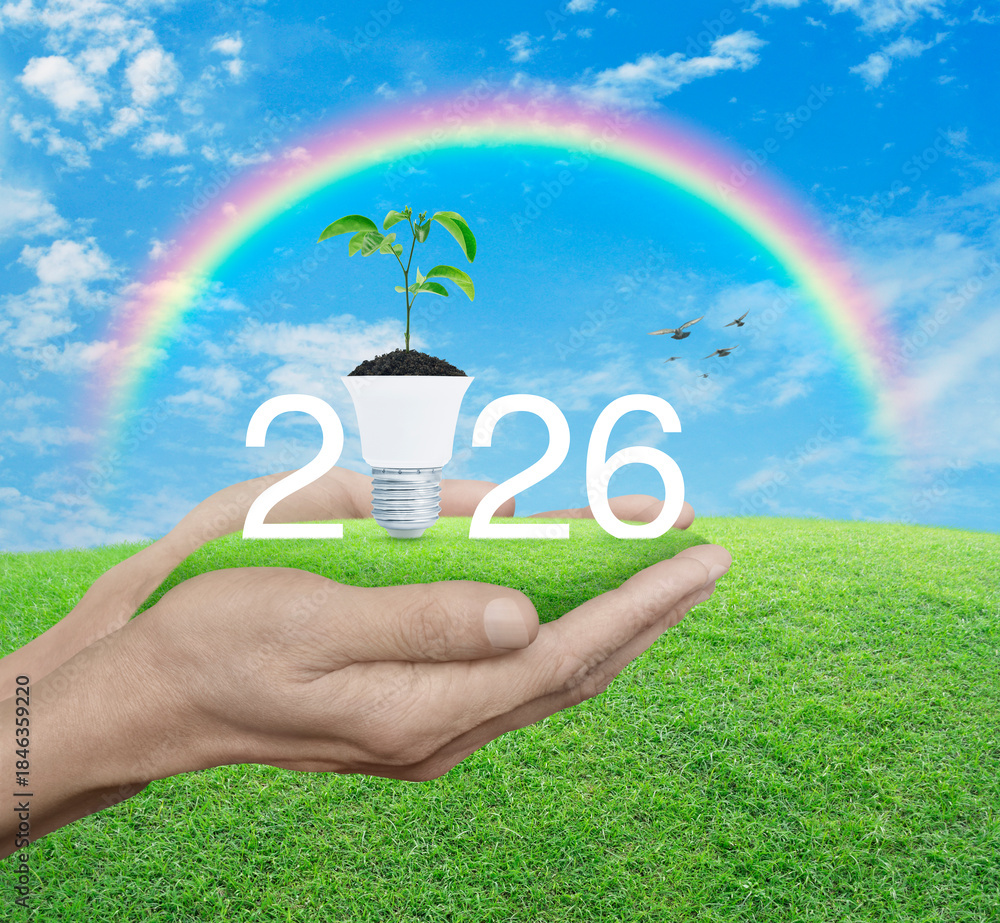 Fototapeta premium 2026 white text with fresh tree leaves on soil and light bulb on green grass in hands over blue sky, white clouds and rainbow, Happy new year 2026 green ecology and saving energy concept