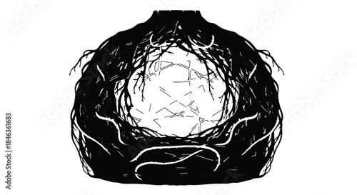 Abstract representation of dark, tangled roots forming a hollow spherical shape with a bright light inside.