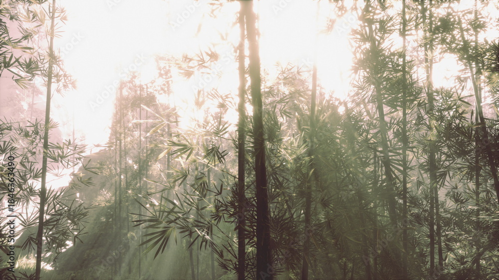 Fototapeta premium Golden sunlight breaks through the lush canopy of a bamboo forest during early morning. The air is filled with tranquility as nature awakens gently in the soft light.