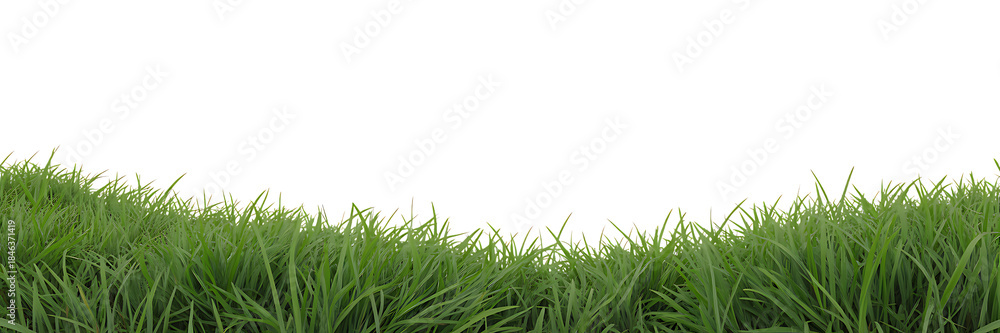 Fototapeta premium Vibrant green grass field