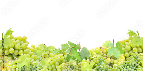Green grape isolated