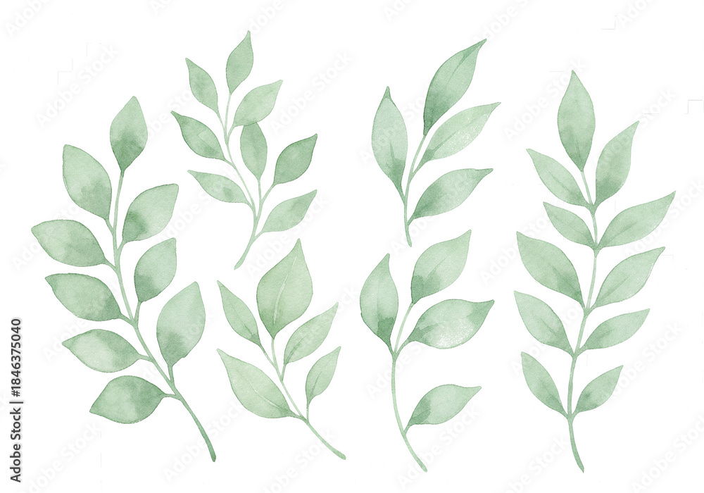 Fototapeta premium Watercolor Green Leaves Set Isolated on Transparent Background 