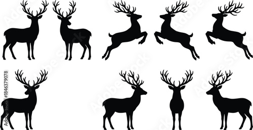 Deer silhouette collection, majestic stag poses, wild animal shapes, woodland wildlife illustration, nature hunting symbol, black silhouettes, white background