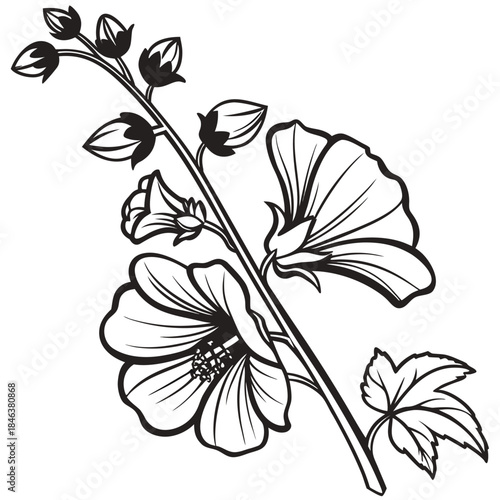 hollyhock black vector