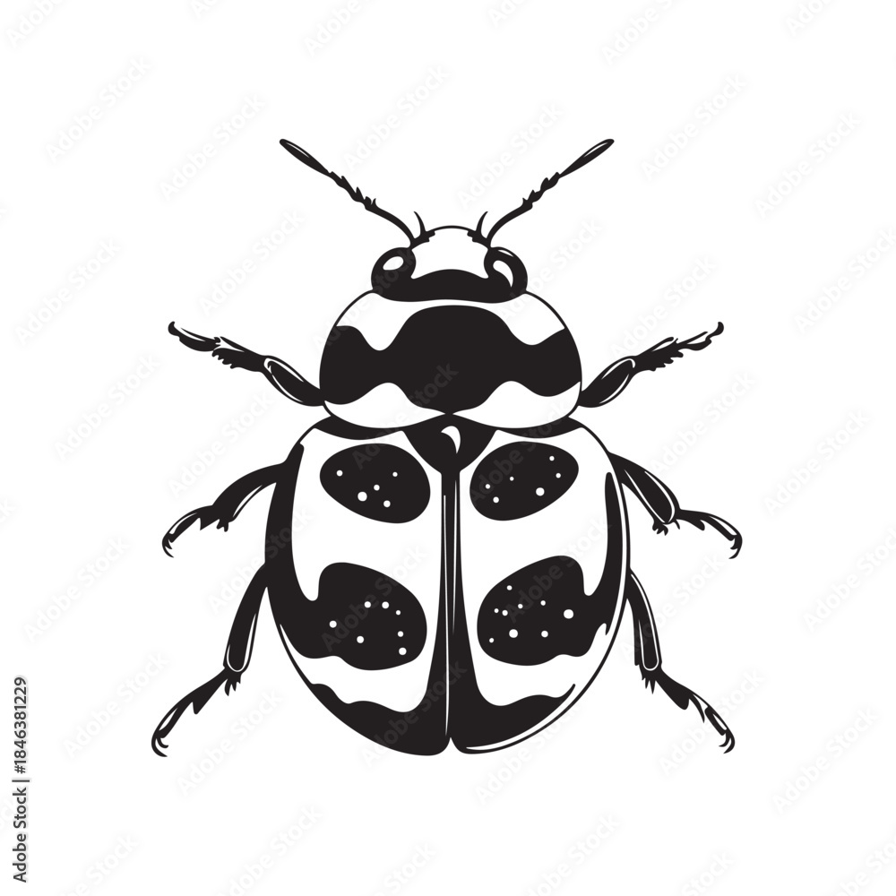 Fototapeta premium ladybug silhouette, black silhouette ladybug icon, ladybug silhouette vector illustration, perfect for nature-themed designs and illustrations