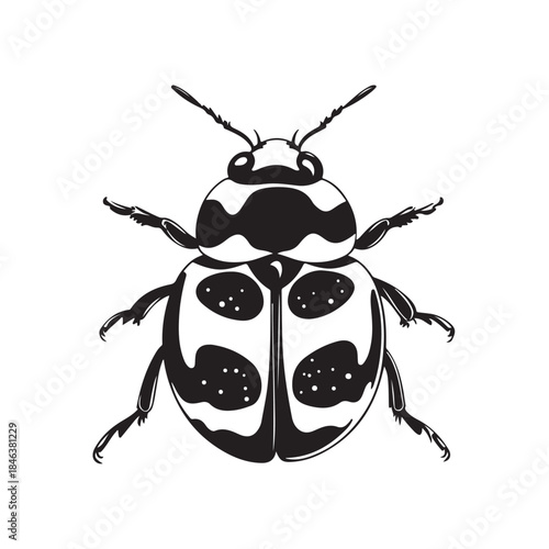 ladybug silhouette, black silhouette ladybug icon, ladybug silhouette vector illustration, perfect for nature-themed designs and illustrations