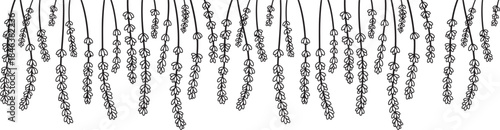 A monochrome line art illustration featuring multiple stylized lavender sprigs or similar botanical elements hanging downwards, forming a decorative and repetitive pattern.