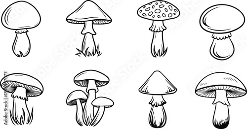 Hand Drawn Mushroom Vector Set, Black and White Line Art Icons and Fungi Illustration