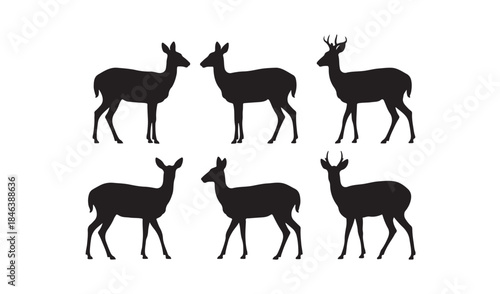 Silhouettes of six deer Vector
