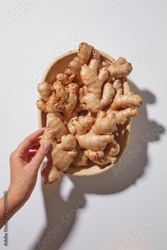 Flat lay with a hand holding ginger roots against a clean background. Natural raw herbal ingredients and natural health themes