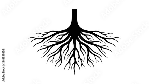 Tree Roots Silhouette Illustration – Strong Nature Growth Underground Symbol