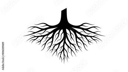 Tree Roots Silhouette Illustration – Strong Nature Growth Underground Symbol