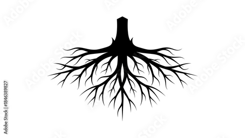 Tree Roots Silhouette Illustration – Strong Nature Growth Underground Symbol