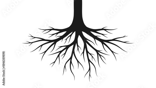 Tree Roots Silhouette Illustration – Strong Nature Growth Underground Symbol