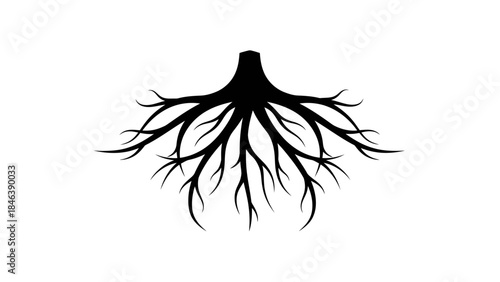 Tree Roots Silhouette Illustration – Strong Nature Growth Underground Symbol