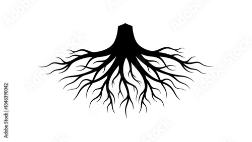 Tree Roots Silhouette Illustration – Strong Nature Growth Underground Symbol